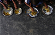Midday meal scheme affected due to fund shortage in Karnataka schools